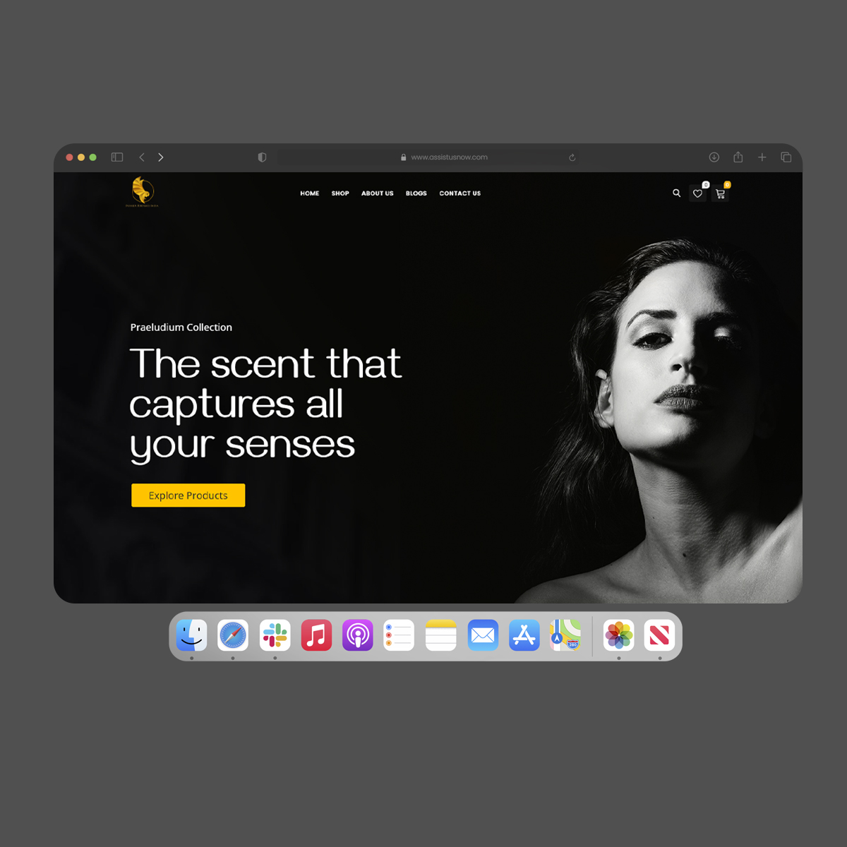 Branding & Web Development Portfolio